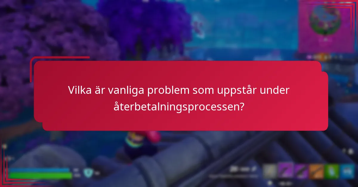 Vilka är vanliga problem som uppstår under återbetalningsprocessen?